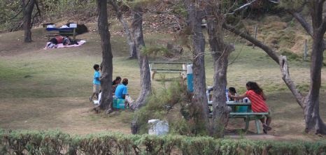 Picnickers at Barclays Park, East Coast, St. Andrew, Barbados
