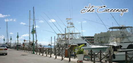 Yachts Docked at the Careenage, Barbados Pocket Guide