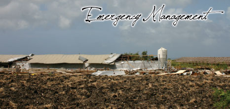 A Devastated Chicken Farm in St. Lucy After the Passing of Tropical Storm Tomas in October of 2010, Barbados Pocket Guide