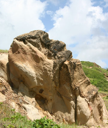 Unique Rock Formation at Scotland District, St. Andrew, Barbados Pocket Guide