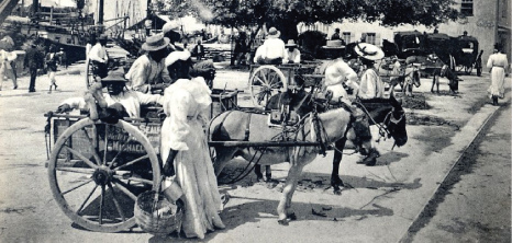 donkey-carts_1