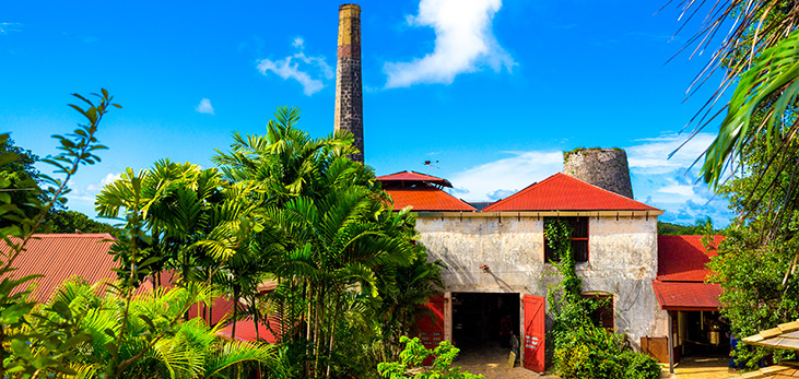 plantation tour barbados