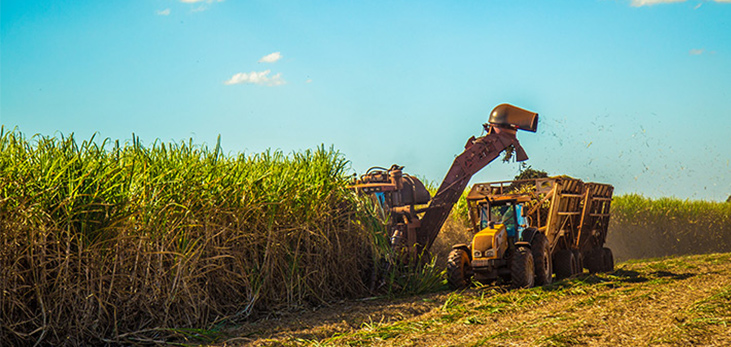 Andrews Sugar Factory, St. Joseph, Barbados Pocket Guide