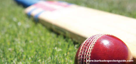 Cricket Bat & Ball Lying on the Cricket Field, Barbados Pocket Guide