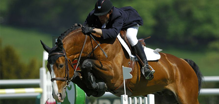A Competitor of Equestrian Sports Show Jumping, Barbados Pocket Guide