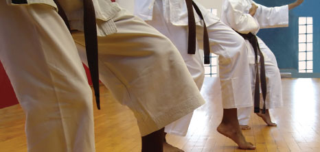 Martial Arts Classes in Progress, Barbados Pocket Guide