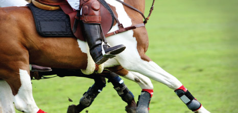 Polo Competition in Progress, Barbados Pocket Guide
