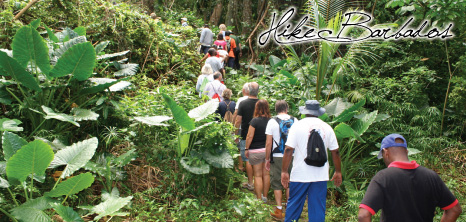 hike-barbados_1