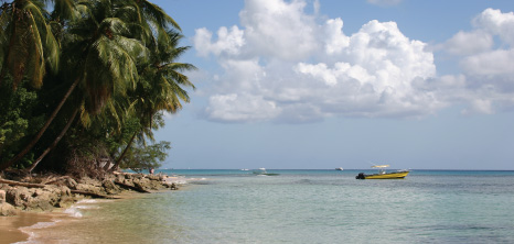 Secluded Beach on the West Coast, Barbados Pocket Guide