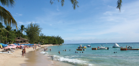 People Playing on the Beach at Mullins, St. Peter, Barbados Pocket Guide