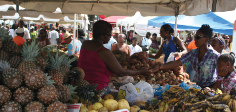 Produce on Sale at Agrofest, Queens Park, Bridgetown, St. Michael, Barbados Pocket Guide