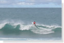 Surfer Cathcing a Wave at Bathsheba, St. Joseph, Barbados Pocket Guide