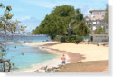 Paynes Bay Beach, St. James, Barbados Pocket Guide
