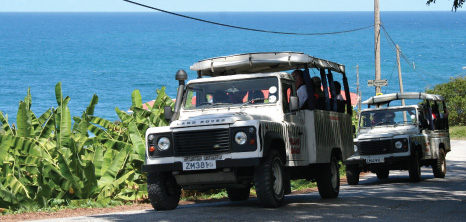 Island Safari Jeeps on Tour in the East Coast, St. Andrew, Barbados Pocket Guide