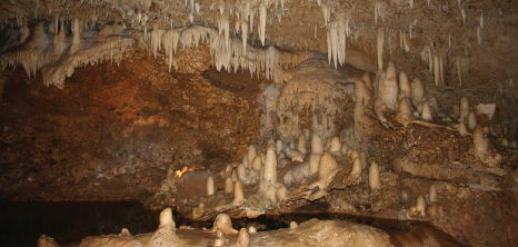 Harrison's Cave, St. Thomas, Barbados Pocket Guide