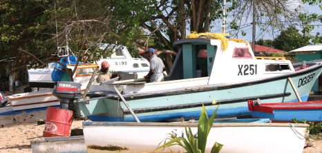Fishing Boats on the Beach at Oistins, Christ Church, Barbados Pocket Guide